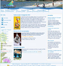 Site officiel de la ville de Sanguinet (Landes)